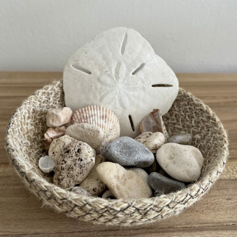 apparement jardin tropical guadeloupe 28